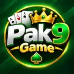 Pak9 Game